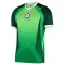 Camiseta Nigeria Hombre 1ª Equipación 26/27