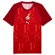 Camiseta Ghana Pre-Match Hombre Mundial 2026