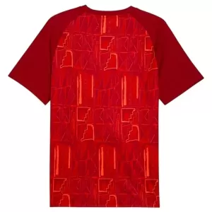 Camiseta Ghana Pre-Match Hombre Mundial 2026