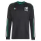 Camiseta México Hombre 3ª Equipación Mundial 2026 Manga Larga