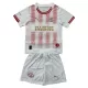Camiseta PSV Eindhoven Niños 4ª Equipación 25/26 Edición Especial