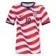Camiseta Estados Unidos Christian Pulišić 10 Hombre 1ª Equipación Mundial 2026