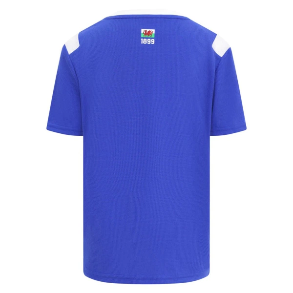 Camiseta Cardiff City Hombre 1ª Equipación 26/27