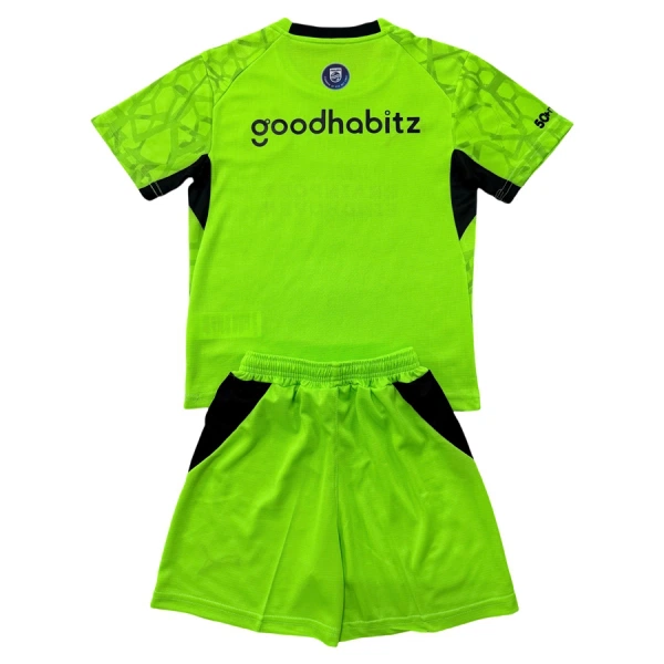 Camiseta Portero PSV Eindhoven Niños 26/27 Verde